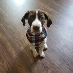 Meet your Posher, Ashlea